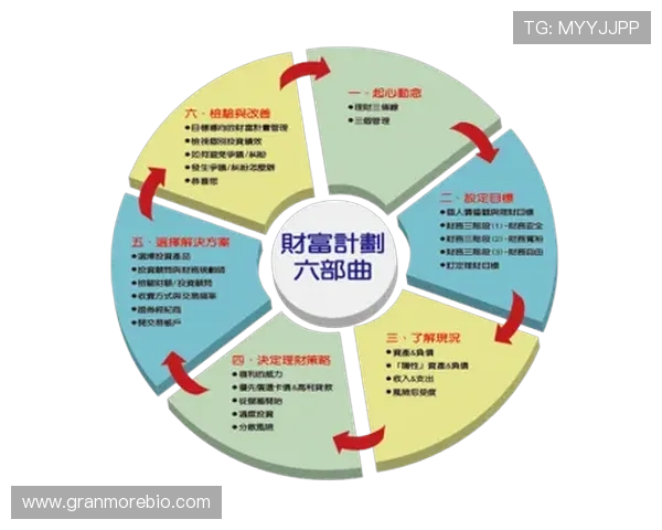 足球球星税收揭秘：高收入背后的纳税责任与财富管理策略分析